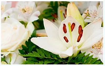 Funeraria Artés flores blancas